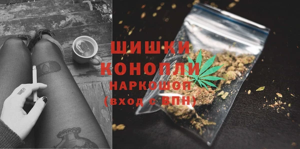 ешки Арсеньев