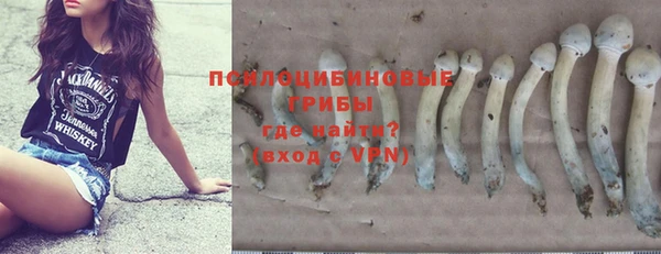 ешки Арсеньев