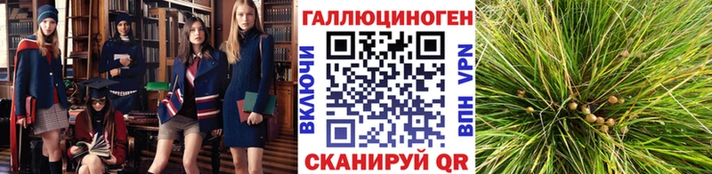 Псилоцибиновые грибы прущие грибы  Ахтубинск 