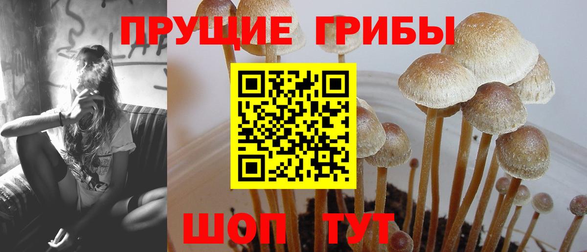 Галлюциногенные грибы ЛСД Ахтубинск